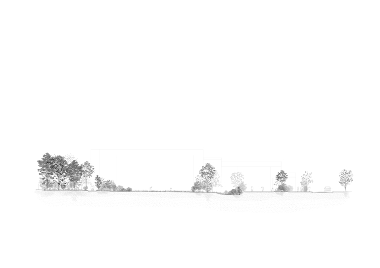 Parc forestier